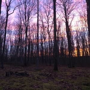 Meet your Posher, Nathan